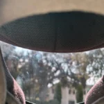 Review photo – Shoei NXR2 / RF-1400 / X-15 / X-SPR Pro & more Replacement Visor